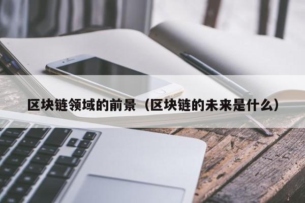 区块链领域的前景(区块链的未来是什么)